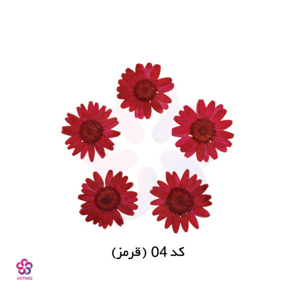 گل خشک بابونه