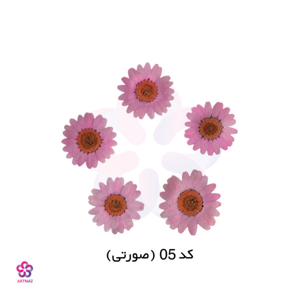 گل خشک بابونه