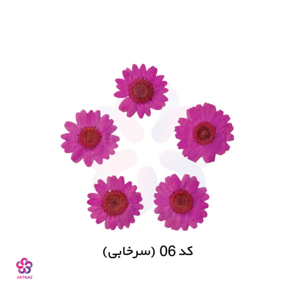 گل خشک بابونه