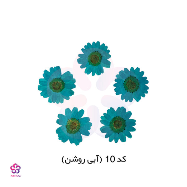 گل خشک بابونه