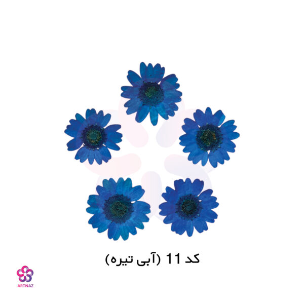 گل خشک بابونه