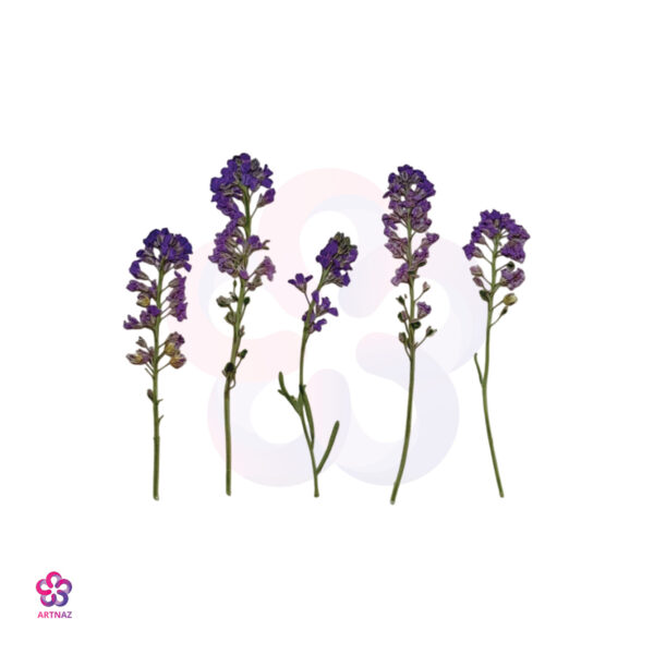 دسته گل یاسی