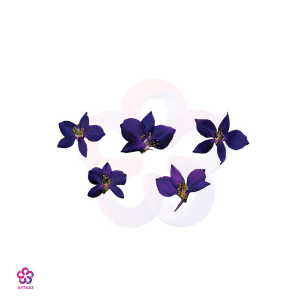 گل خشک زبان در قفا